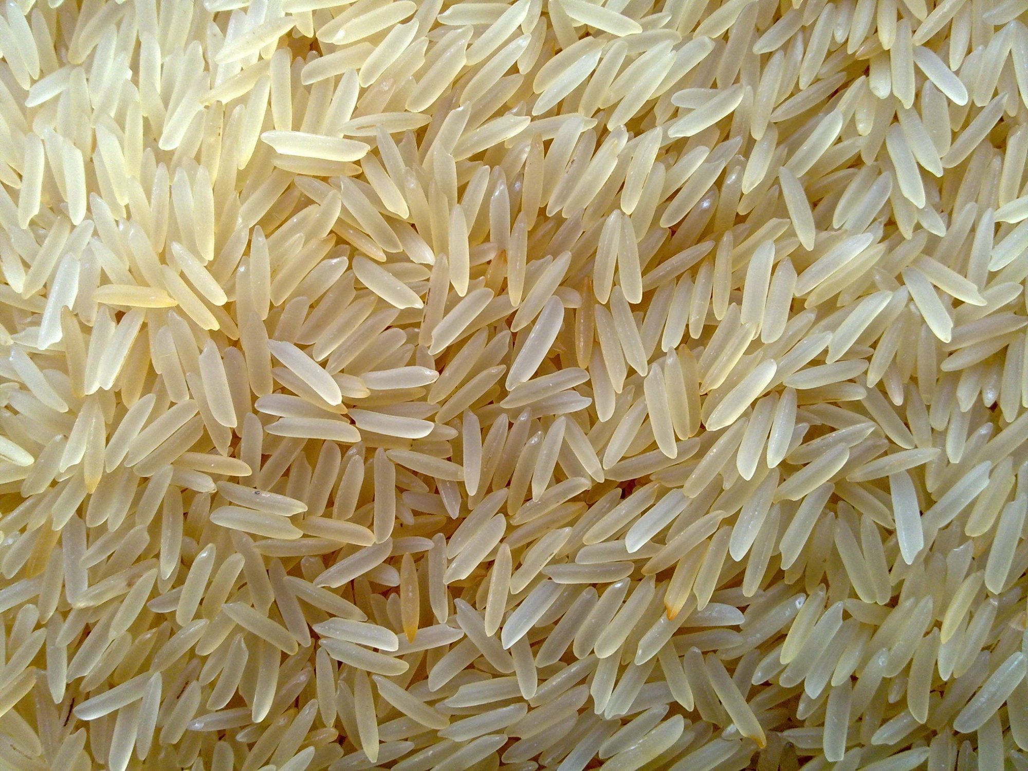 1121 Basmati Rice In Bangladesh