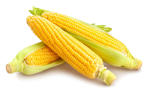 Yellow Sweet Corn In Bangladesh